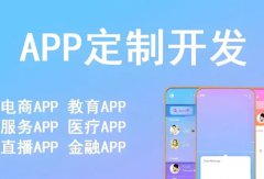 APP/小程序/办公系统开发